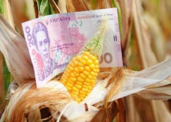 УВАГА: для суто сімейних фермерських господарств запускають програму безвідсоткового кредитування