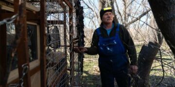 Від викладача до військового: історія «Міхалича» з 41-ї бригади, – ФОТО