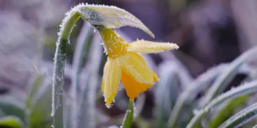 З понеділка Миколаївщину накриє похолодання
