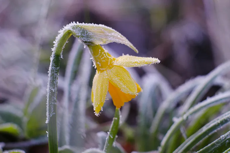 З понеділка Миколаївщину накриє похолодання