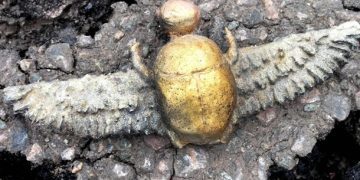 Єгипетський скарабей знайшли в Іспанії: археологи не можуть це пояснити