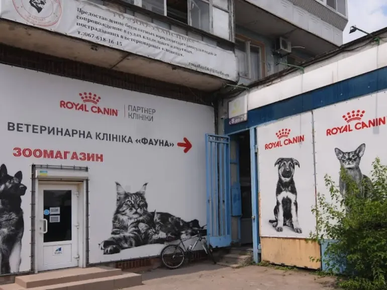 Все для домашніх улюбленців: гід по здоров&rsquo;ю та догляду за хвостиками