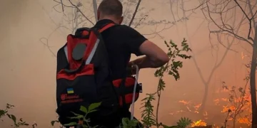 Поблизу Києва спалахнула масштабна лісова пожежа (фото)