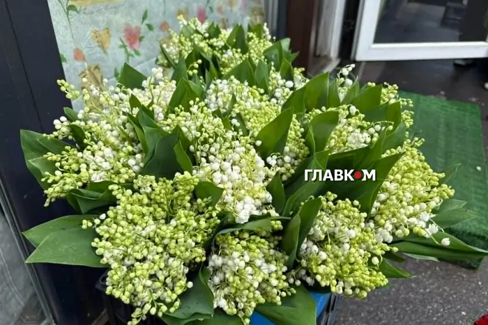 У День матері червонокнижну конвалію браконьєри продають за неймовірні гроші (фото)