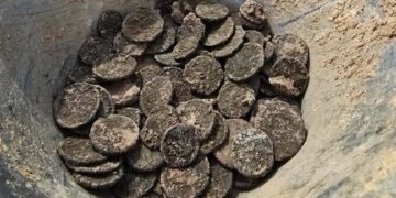 У Хорватії знайшли більше 300 римських монет