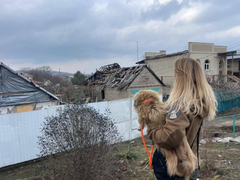 302 тварини вже в безпеці: проєкт &laquo;Купуй &ndash; рятуй&raquo; продовжили до 27 травня