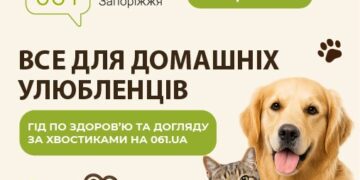 Все для домашніх улюбленців: гід по здоров’ю та догляду за хвостиками