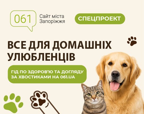 Все для домашніх улюбленців: гід по здоров&rsquo;ю та догляду за хвостиками