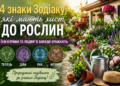 4 знаки Зодіаку, які мають особливий хист до рослин: їхні сади завжди притягують погляд