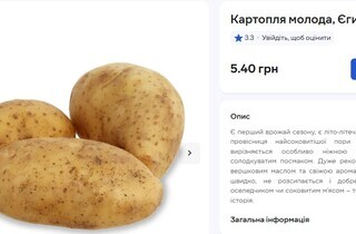 Молода картопля на столичних прилавках: огляд цін у супермаркетах та на ринках