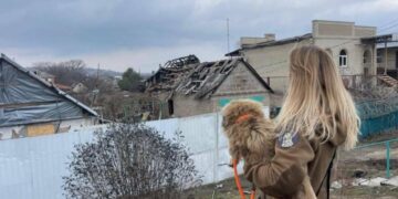 302 тварини вже в безпеці: проєкт «Купуй – рятуй» продовжили до 27 травня