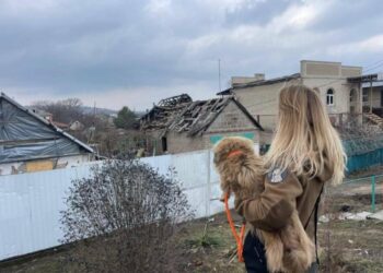 302 тварини вже в безпеці: проєкт «Купуй – рятуй» продовжили до 27 травня