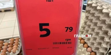 Почали дешевшати: скільки коштують яйця у супермаркетах Києва