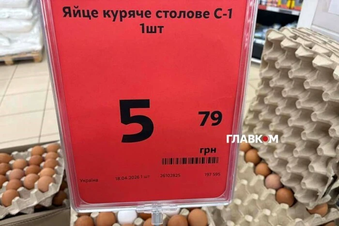 Почали дешевшати: скільки коштують яйця у супермаркетах Києва