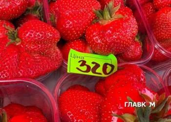 Ціни на полуницю в Києві пішли вгору: скільки коштує кілограм (фото)