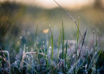 У Запоріжжі очікуються нічні заморозки і до +18° вдень