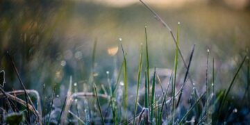 У Запоріжжі очікуються нічні заморозки і до +18° вдень