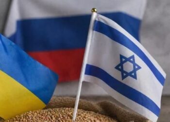Україна просить Ізраїль арештувати судно з українським зерном, вивезеним Росією