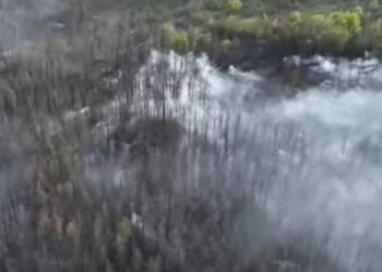 На Харківщині через обстріл горить ліс