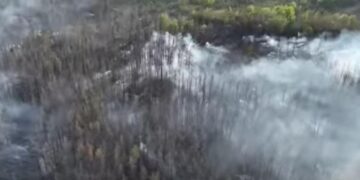На Харківщині через обстріл горить ліс