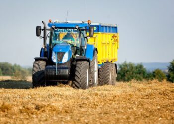 Більше половини всього, що Україна цього року продає за кордон, складає аграрна продукція – ось так і не інакше