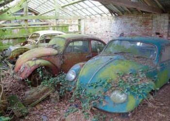 Кладовище “Жуків”: на занедбаному складі виявили покинуту колекцію Volkswagen (ВІДЕО)
