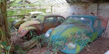 Кладовище “Жуків”: на занедбаному складі виявили покинуту колекцію Volkswagen (ВІДЕО)