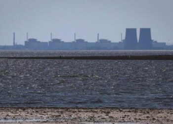 МАГАТЕ заявило про удар дрона по лабораторії радіаційного контролю на ЗАЕС