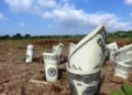 Ціни на землю сільгосппризначення в Україні змінилися
