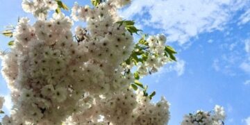 На Одещину після дощів повертається тепло: прогноз погоди на 14 травня