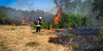 Попри дощі природа горить: на Одещині фіксують масштабні пожежі