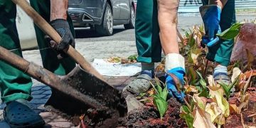У Харкові будуть економити на клумбах