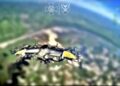 На Запорізькому напрямку бійці 23 бригади «Хортиця» знищили розвідувальні дрони росіян вартістю 300 тисяч доларів