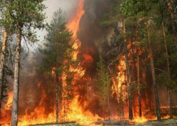 На Миколаївщині прогнозують підвищену пожежну небезпеку