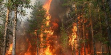 На Миколаївщині прогнозують підвищену пожежну небезпеку