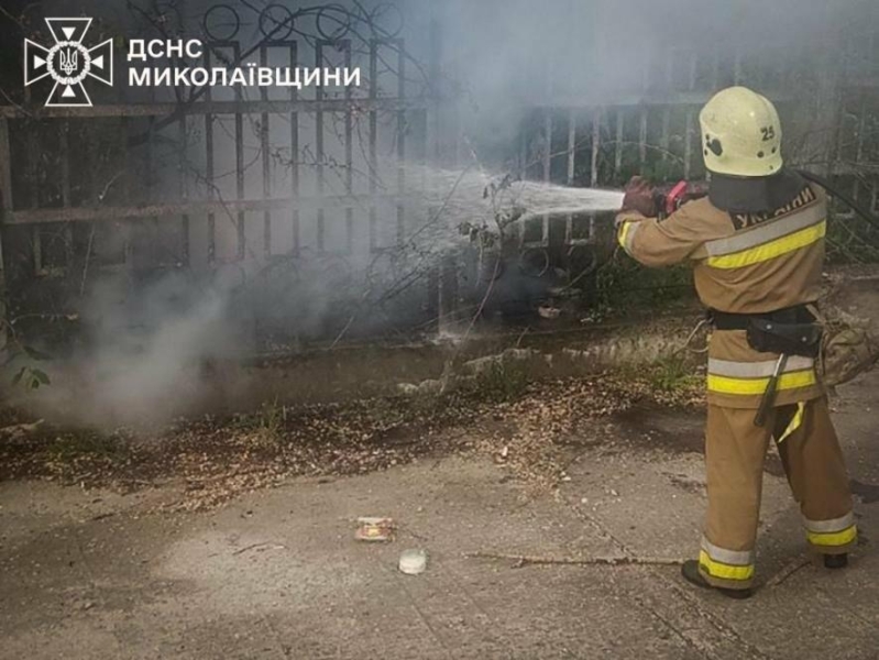 На Миколаївщині вигоріло понад 3800 квадратних метрів, - ФОТО