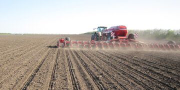 Наперекір викликам посівна кампанія в Україні виходить на завершальний етап
