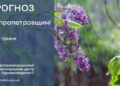 Погода у Січеславщині 13 травня