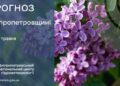 Погода у Січеславщині 17 травня