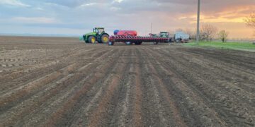 Затяжна посівна ніколи добром не кінчається. На цей раз загрожує зниженням урожайності пізніх культур