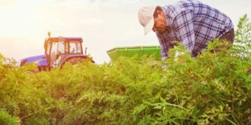 Зверніть увагу, що овочівницька галузь охопила зараз практично всю Україну