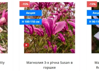 вредители магнолии