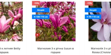 вредители магнолии