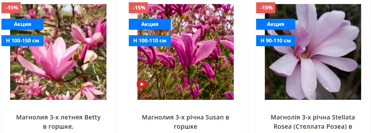 вредители магнолии