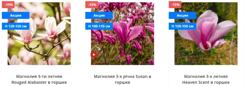 магнолии