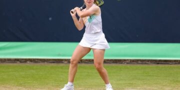 Снігур зазнала поразки у чвертьфіналі WTA 250 у Нідерландах