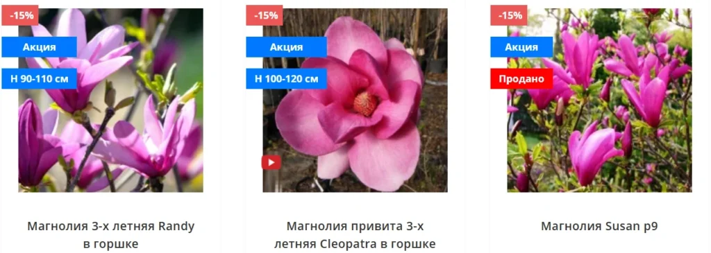 магнолии