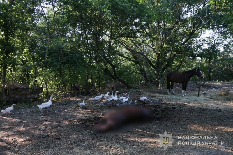Росіяни бомбардували Запоріжжя: куди влучили і що відомо про поранених та загиблих