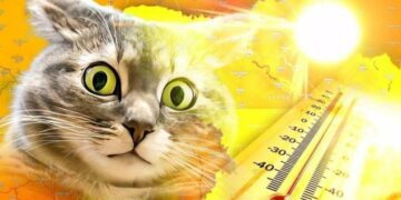 Запорізький гідрометцентр прогнозує спекотний червень