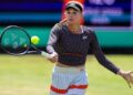 Ястремська вибуває з турніру WTA 250 у Нідерландах